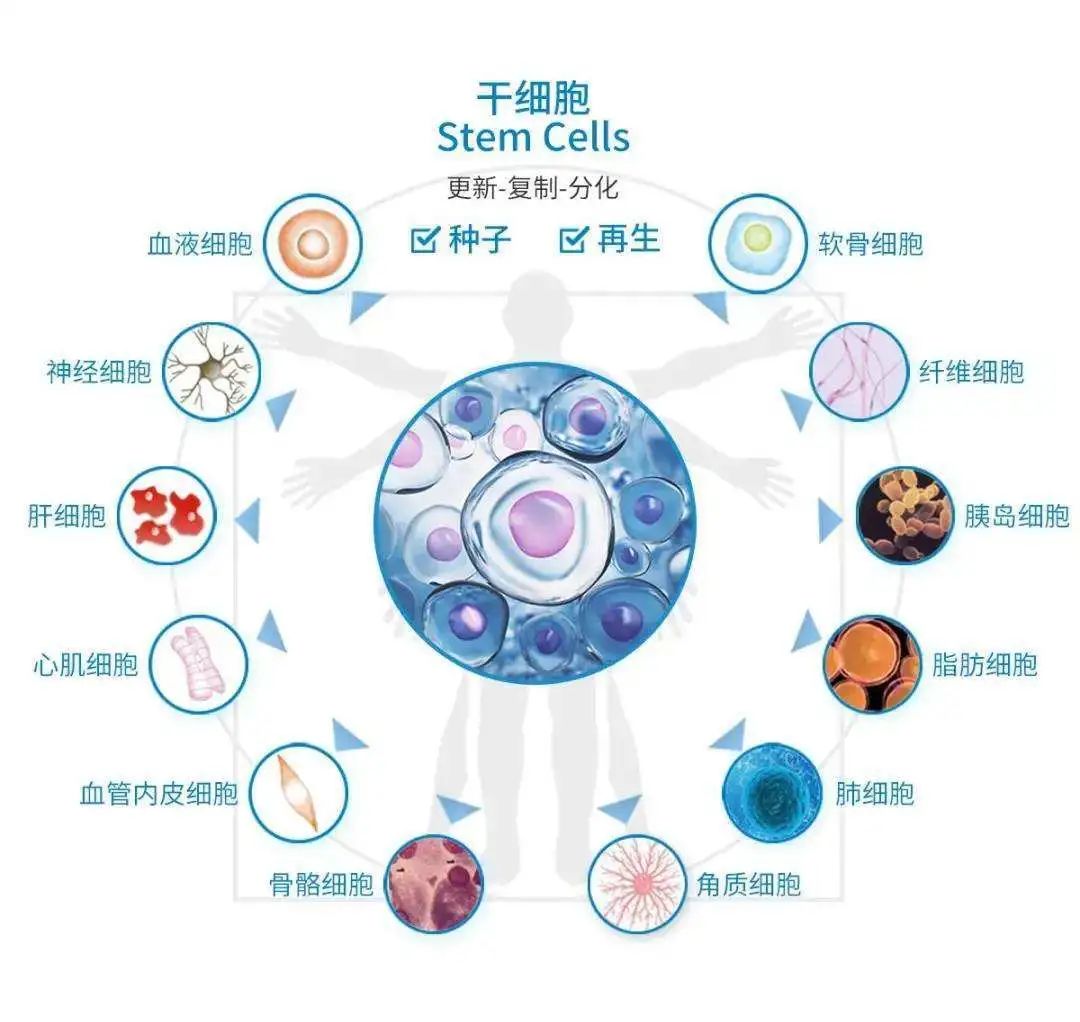 亚健康病症_亚健康疾病名称大全_亚健康类疾病
