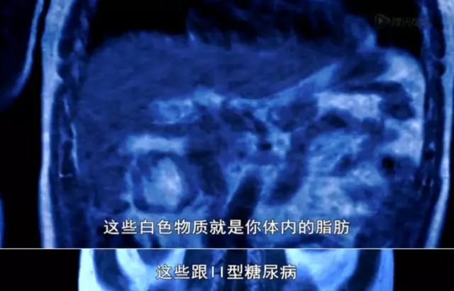肥鹅健身房游戏攻略_肥鹅健身房运动活动_肥鹅健身房小程序