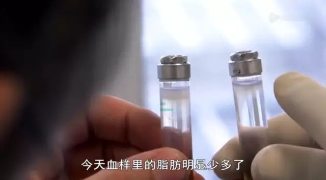 肥鹅健身房运动活动_肥鹅健身房小程序_肥鹅健身房游戏攻略