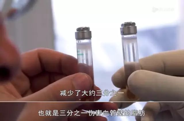 肥鹅健身房游戏攻略_肥鹅健身房小程序_肥鹅健身房运动活动