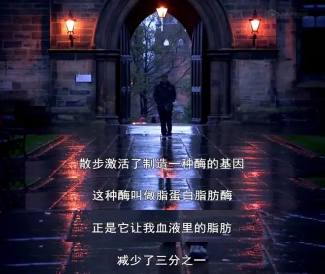 肥鹅健身房小程序_肥鹅健身房运动活动_肥鹅健身房游戏攻略