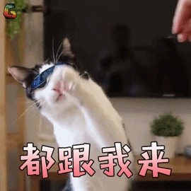 健身器材 名字_器材健身名字有哪些_健身器材起名字