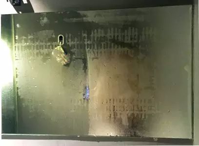 苍蝇怎么驱_苍蝇怎样才能驱赶走_驱苍蝇生活小窍门