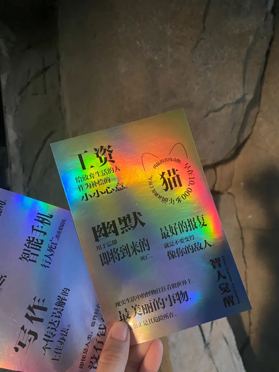 日常生活小常识大全(珍藏版)_生活常识小日历_日常小知识生活百科