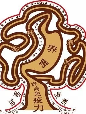 亚健康人群吃了酵素_酵素与亚健康_酵素健康么